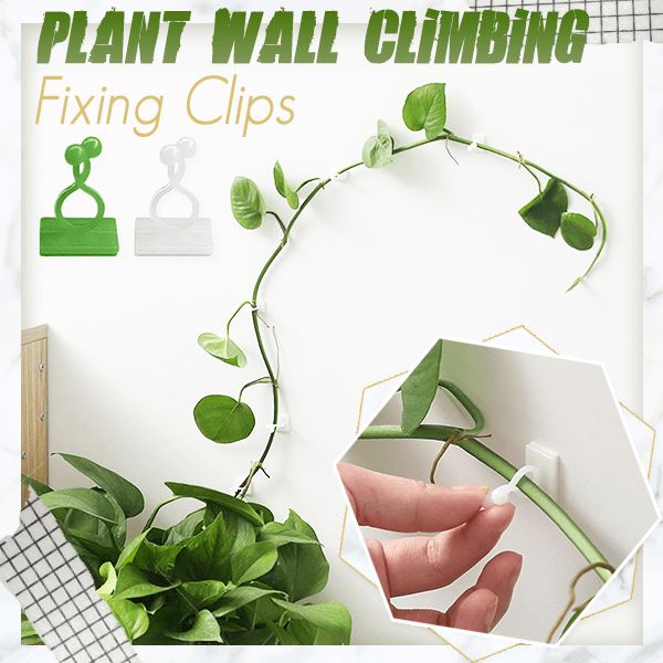 Plant Wall Climbing Clips